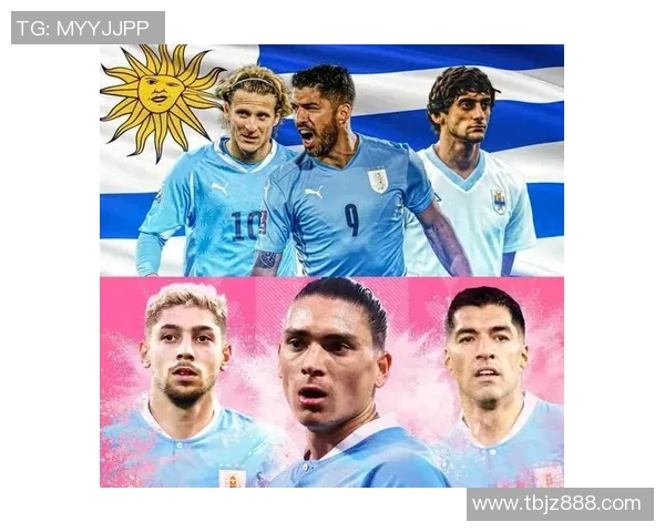 《从绿茵场到荣耀巅峰 球星与足球运动员背后的奋斗与传奇》